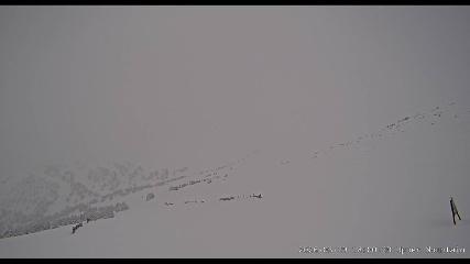 Marmot Basin: Upper Mountain (skimarmot.com)