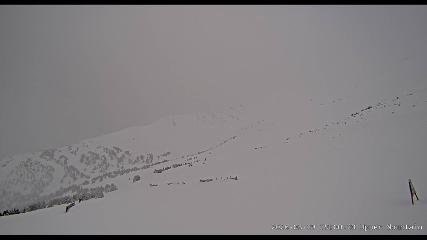 Marmot Basin: Upper Mountain (skimarmot.com)