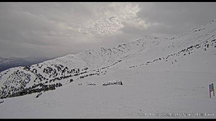 Marmot Basin: Upper Mountain (skimarmot.com)