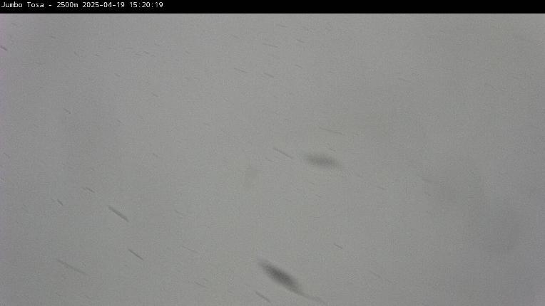 Webcam Masella: 2500m