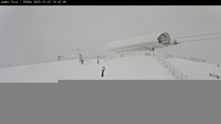 Webcam Masella: 2500m