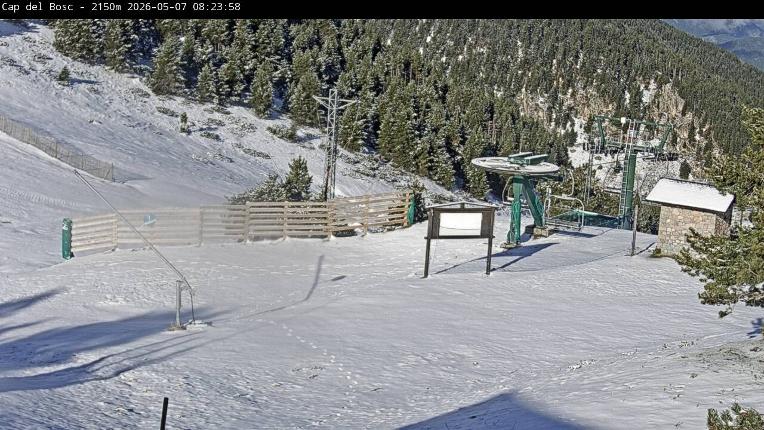 Webcam Masella: Cap del Bosc 2150m