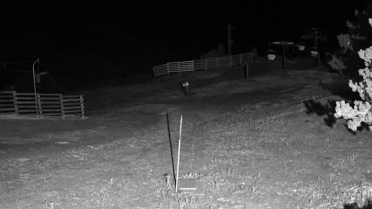 Webcam Masella: Cap del Bosc 2150m