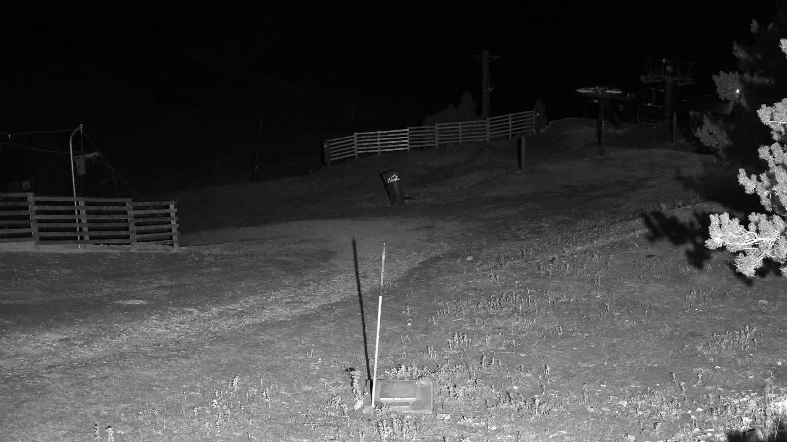 Webcam Masella: Cap del Bosc 2150m