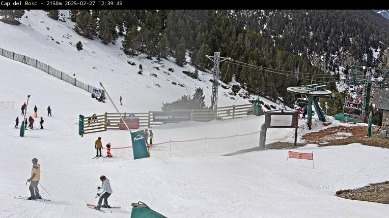 Webcam Masella: Cap del Bosc 2150m