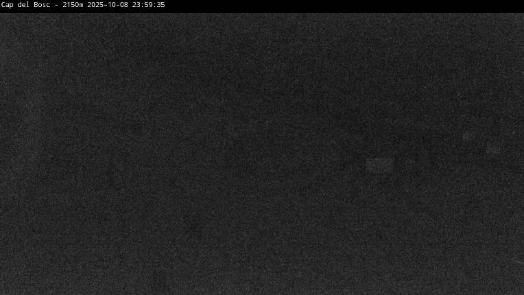 Webcam Masella: Cap del Bosc 2150m