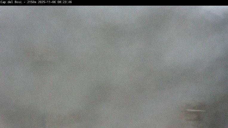 Webcam Masella: Cap del Bosc 2150m
