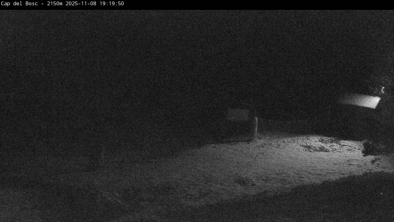 Webcam Masella: Cap del Bosc 2150m