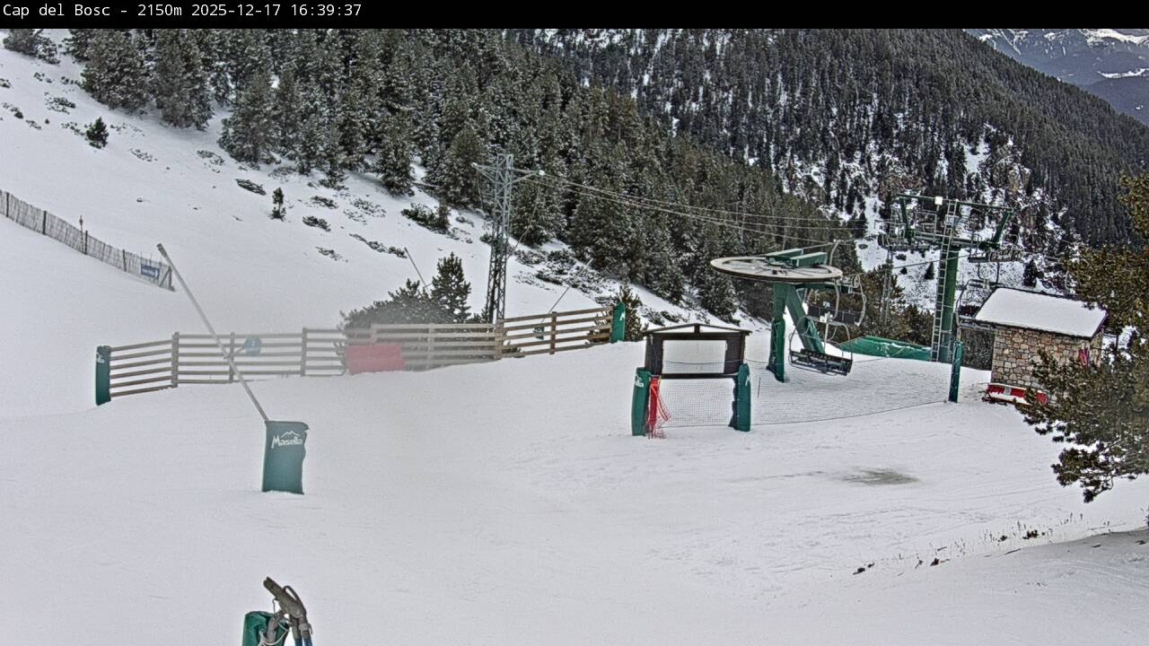 Webcam Masella: Cap del Bosc 2150m