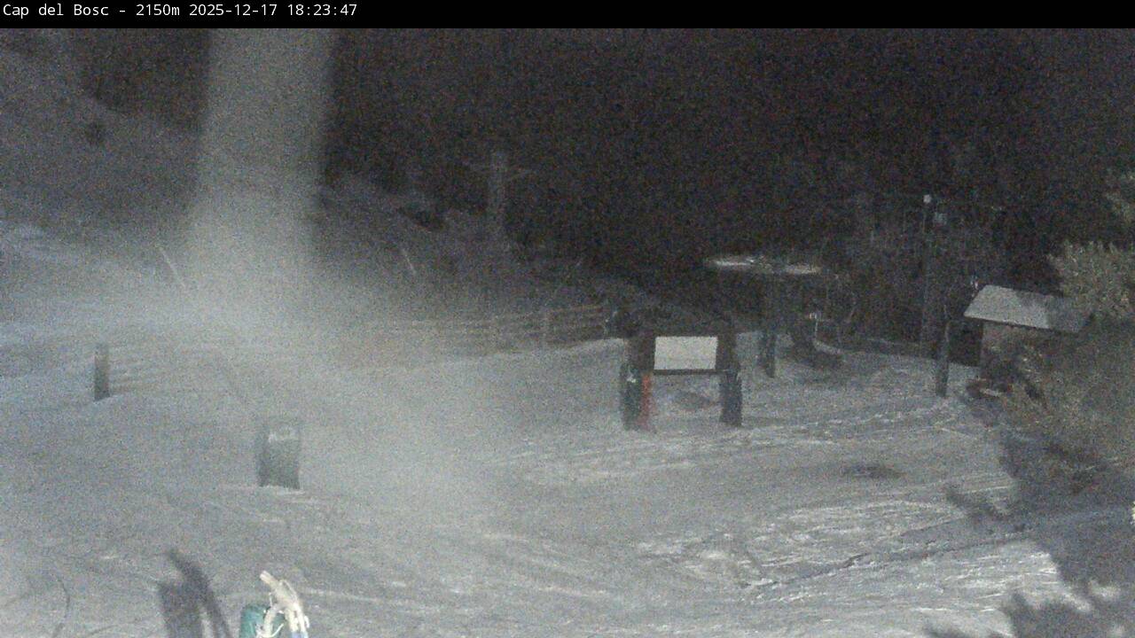Webcam Masella: Cap del Bosc 2150m