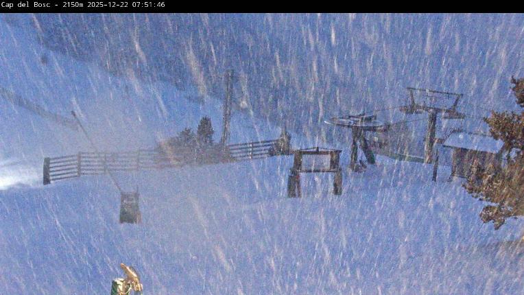 Webcam Masella: Cap del Bosc 2150m