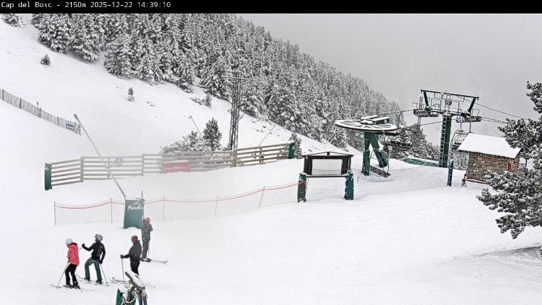 Webcam Masella: Cap del Bosc 2150m