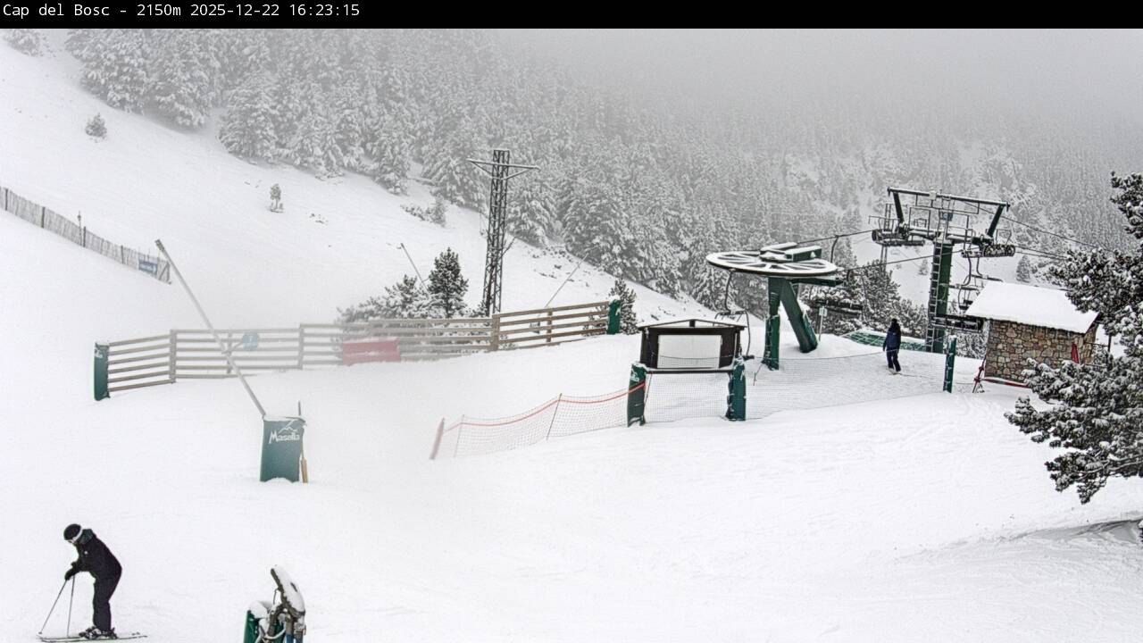 Webcam Masella: Cap del Bosc 2150m