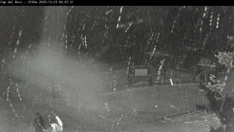 Webcam Masella: Cap del Bosc 2150m