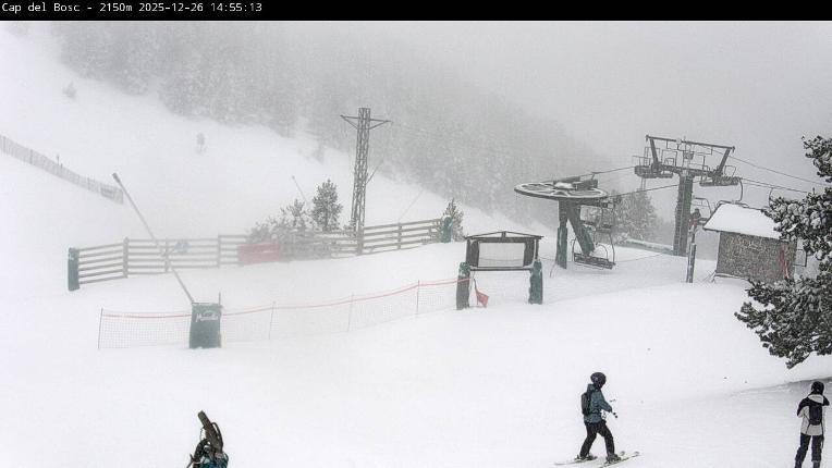 Webcam Masella: Cap del Bosc 2150m