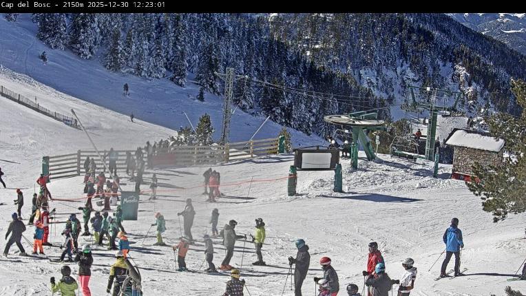 Webcam Masella: Cap del Bosc 2150m