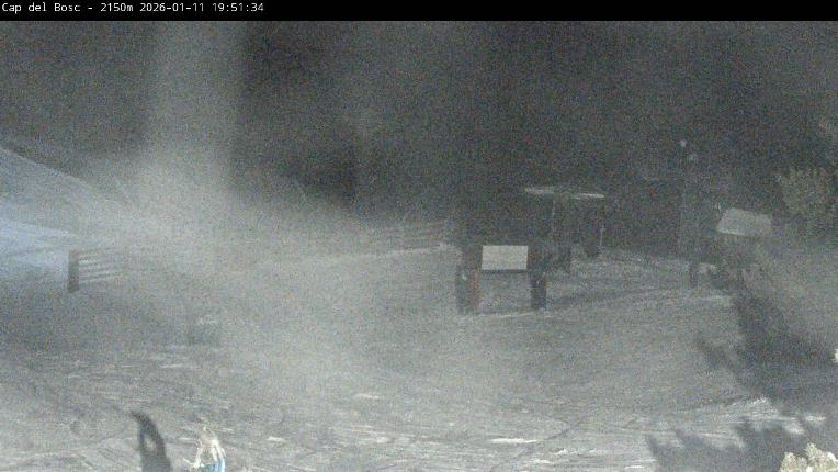 Webcam Masella: Cap del Bosc 2150m