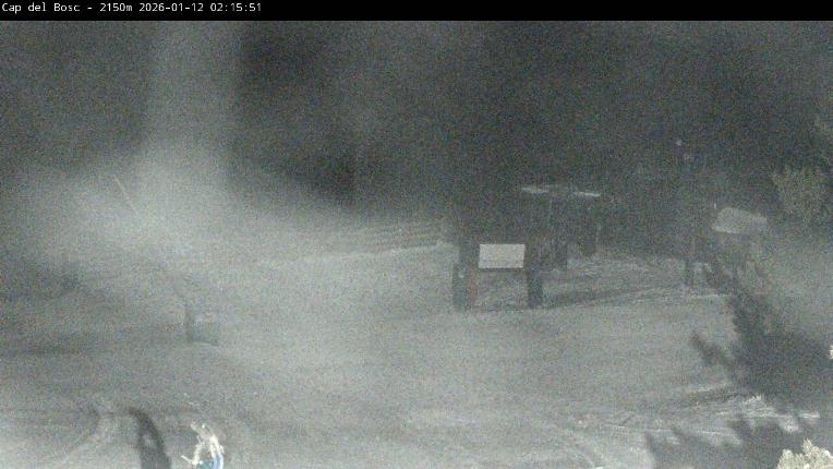 Webcam Masella: Cap del Bosc 2150m