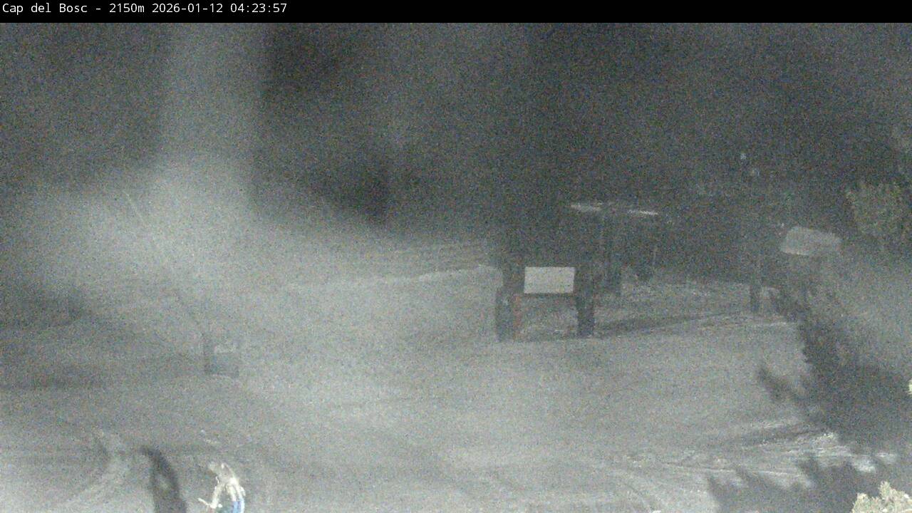 Webcam Masella: Cap del Bosc 2150m