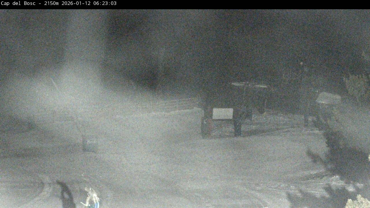 Webcam Masella: Cap del Bosc 2150m