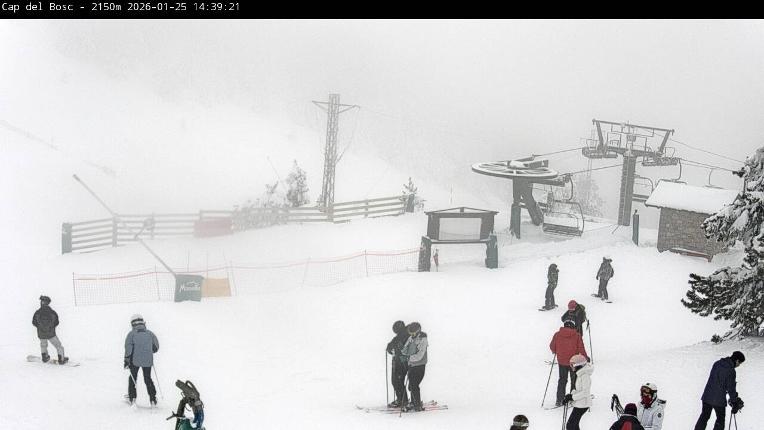 Webcam Masella: Cap del Bosc 2150m