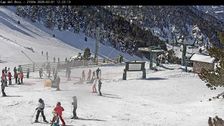 Webcam Masella: Cap del Bosc 2150m
