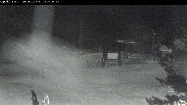 Webcam Masella: Cap del Bosc 2150m