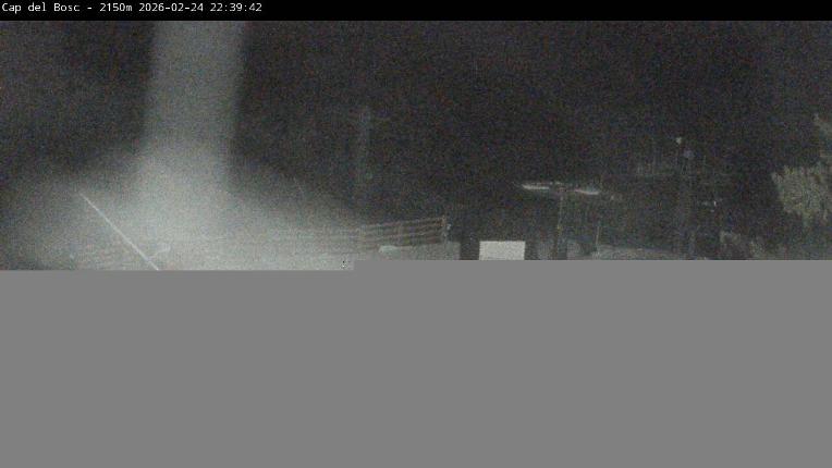 Webcam Masella: Cap del Bosc 2150m