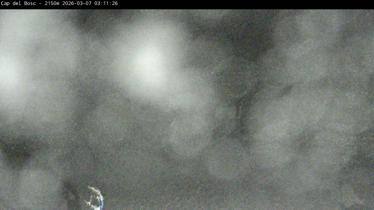 Webcam Masella: Cap del Bosc 2150m