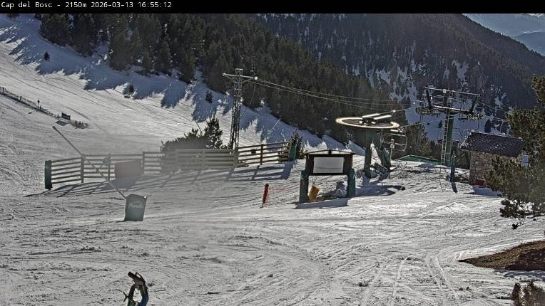 Webcam Masella: Cap del Bosc 2150m