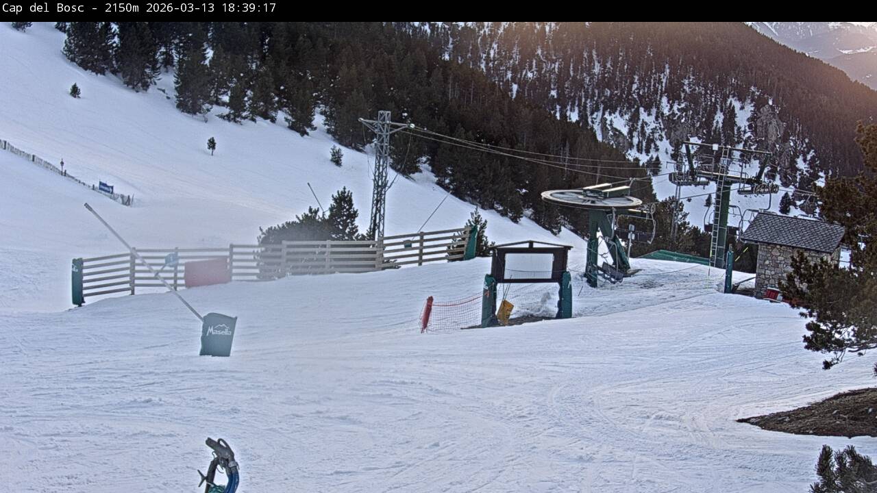 Webcam Masella: Cap del Bosc 2150m