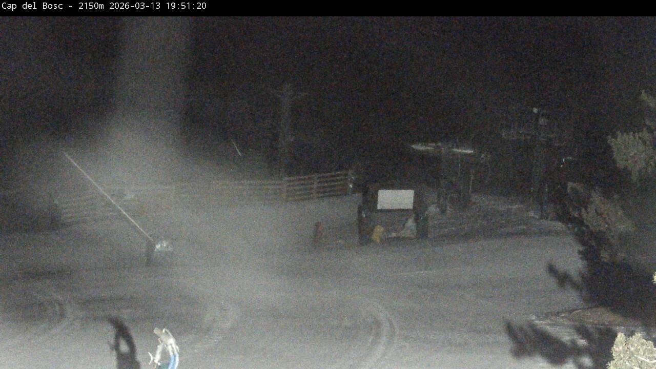 Webcam Masella: Cap del Bosc 2150m