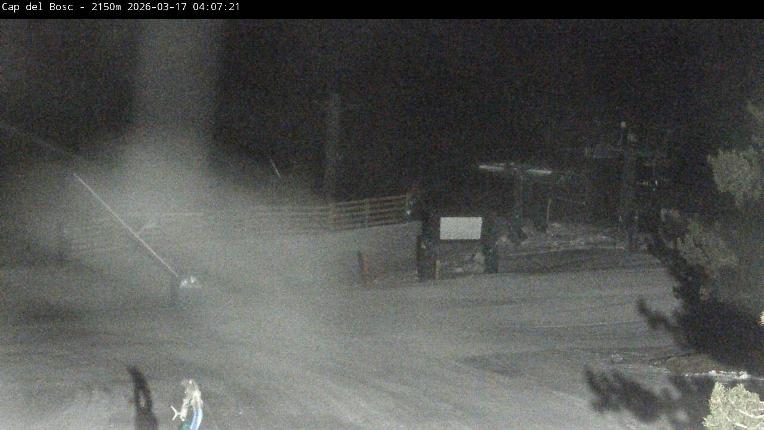 Webcam Masella: Cap del Bosc 2150m