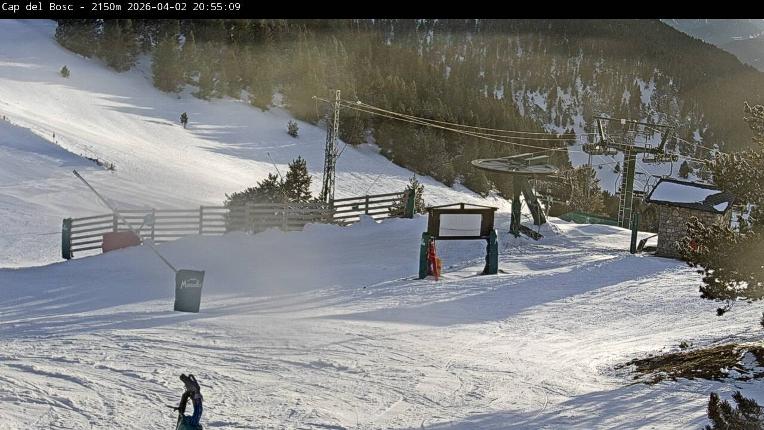 Webcam Masella: Cap del Bosc 2150m