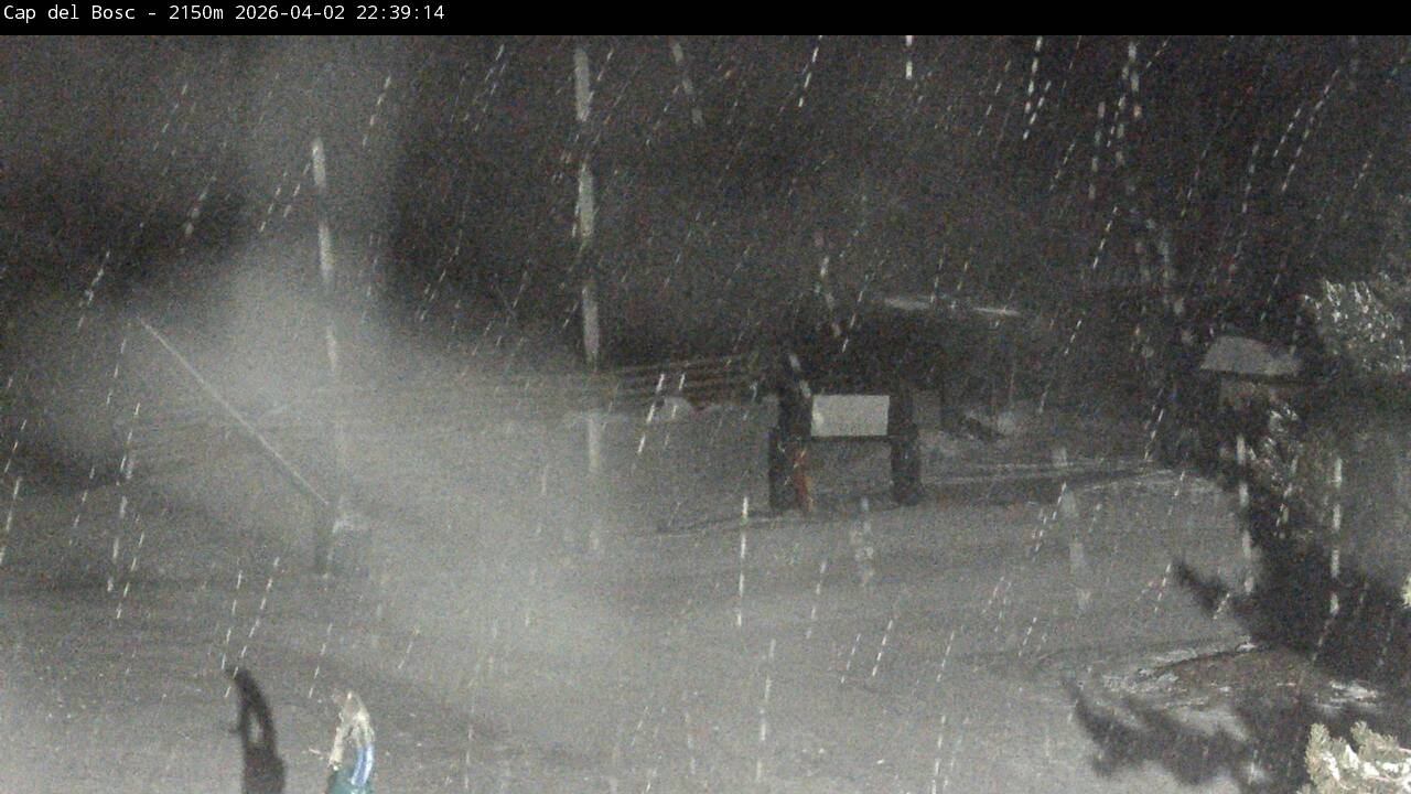 Webcam Masella: Cap del Bosc 2150m