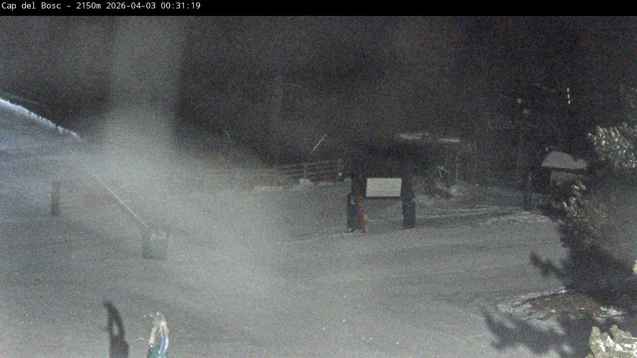 Webcam Masella: Cap del Bosc 2150m