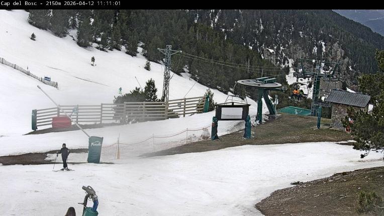 Webcam Masella: Cap del Bosc 2150m