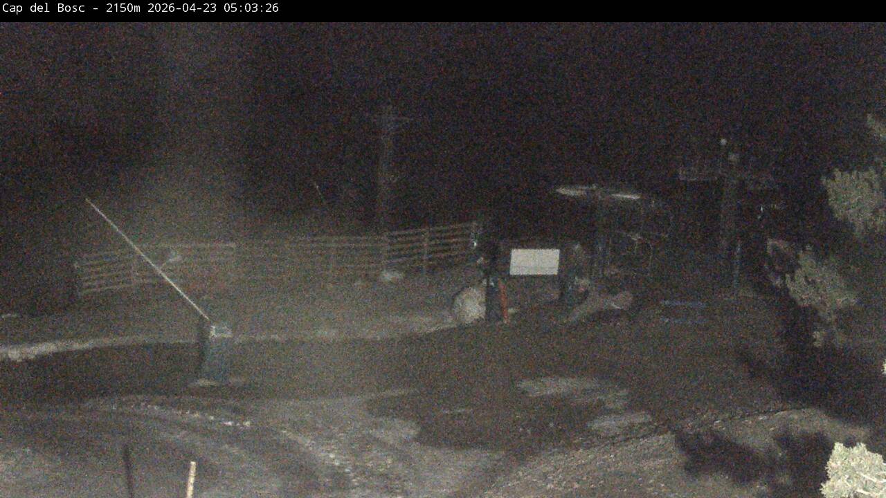 Webcam Masella: Cap del Bosc 2150m