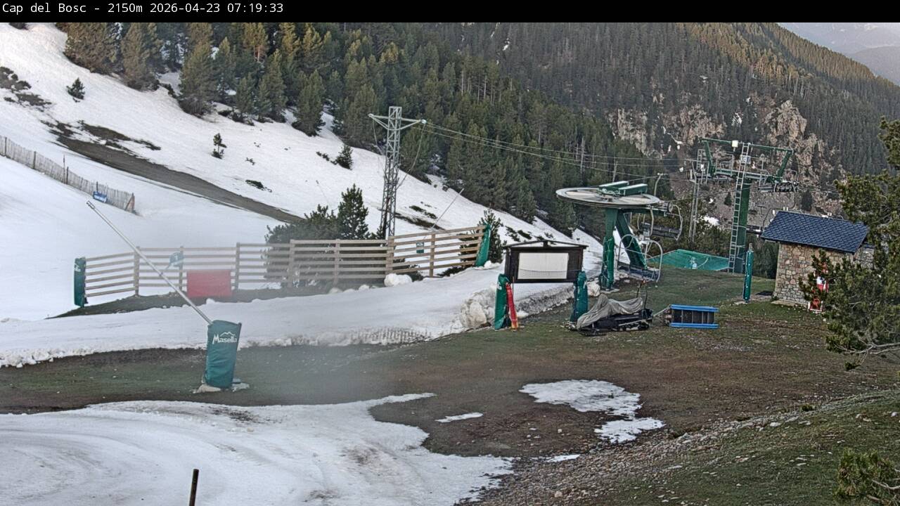 Webcam Masella: Cap del Bosc 2150m