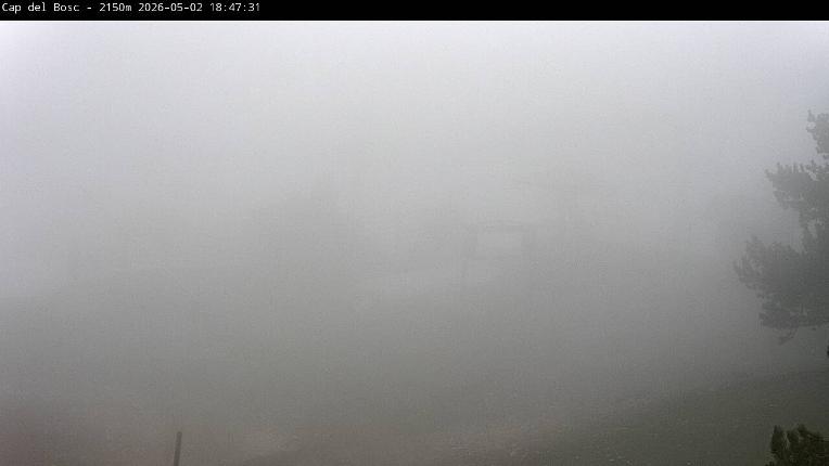 Webcam Masella: Cap del Bosc 2150m