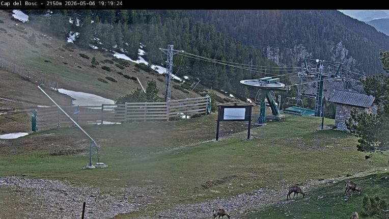 Webcam Masella: Cap del Bosc 2150m
