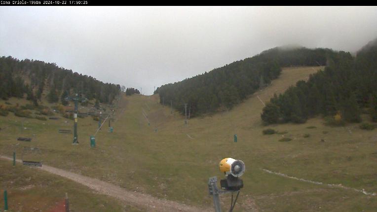 Webcam Masella: Coma Oriola - 1950m.