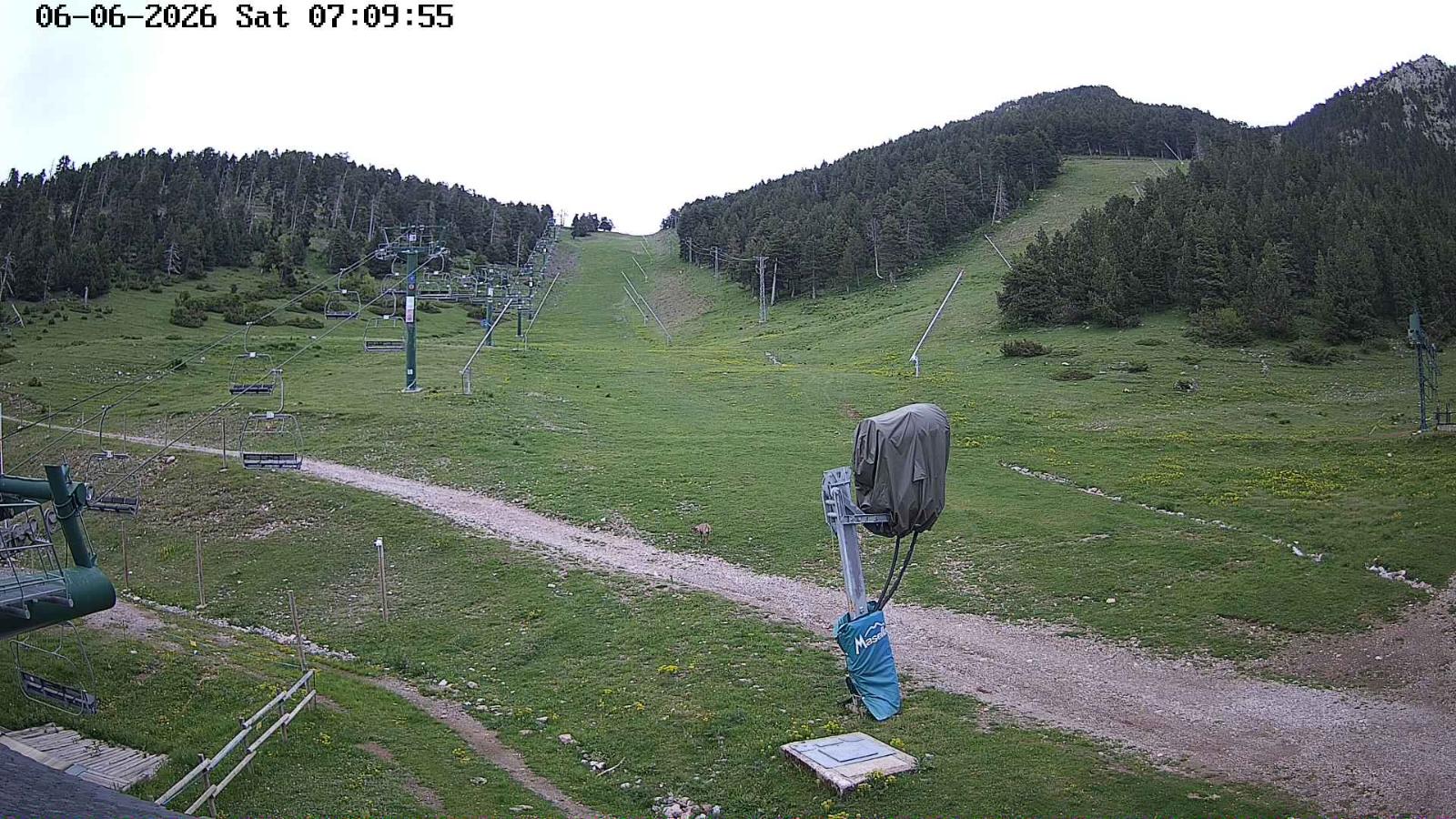 Webcam Masella: Coma Oriola - 1950m.