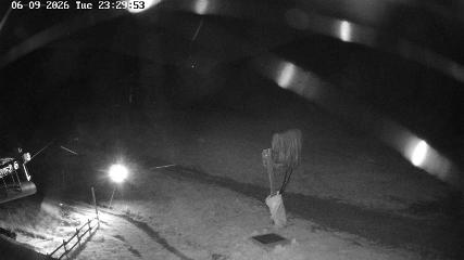 Masella webcam