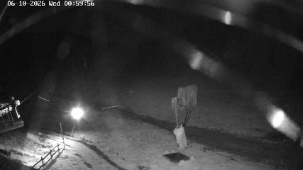 Masella webcam
