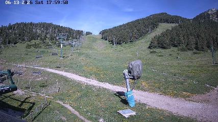 Imagem do relatório do usuário em Masella
