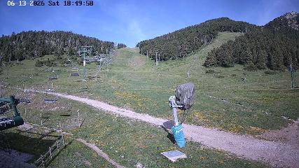 Imagem do relatório do usuário em Masella