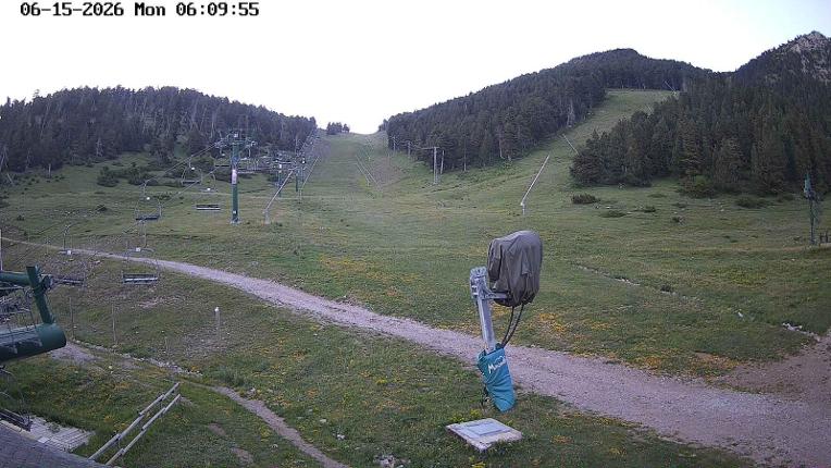 Webcam Masella: Coma Oriola - 1950m.