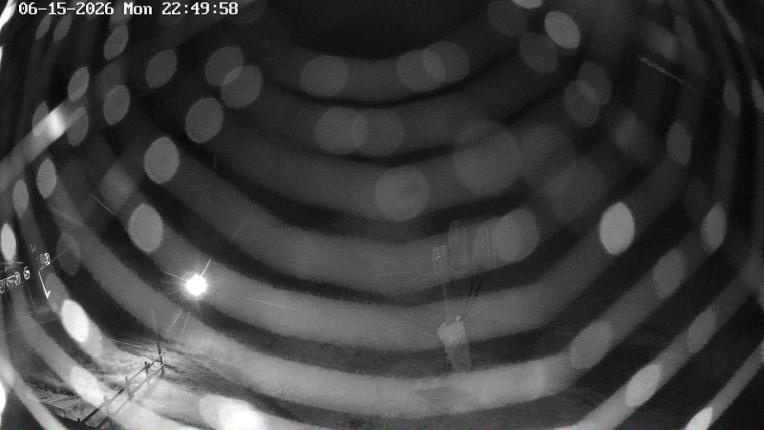 Webcam Masella: Coma Oriola - 1950m.