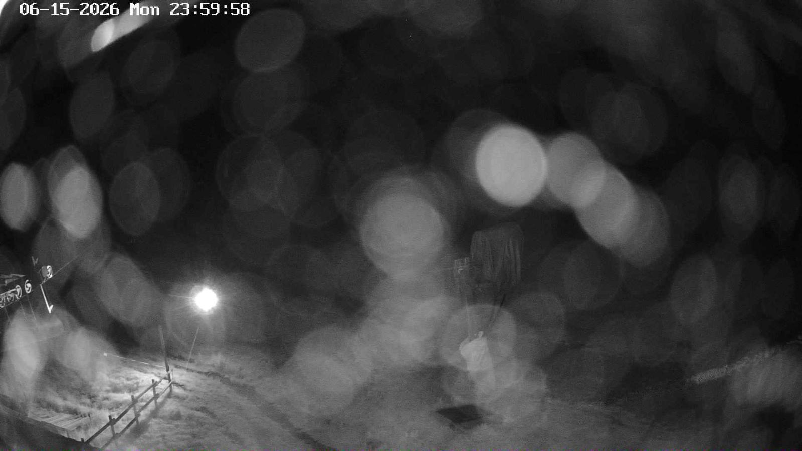 Webcam Masella: Coma Oriola - 1950m.